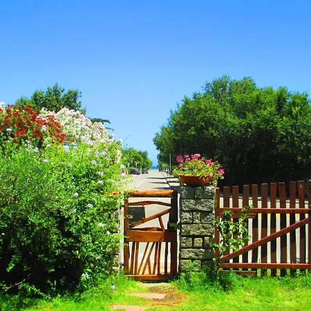 Phocea San Teodoro (Sardinia)